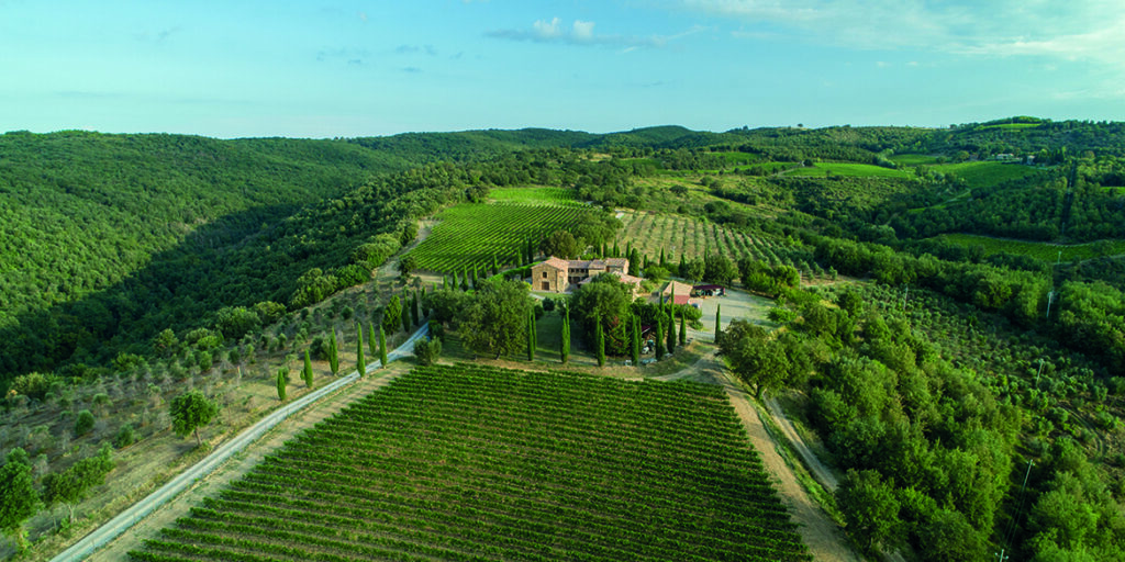 Casisano, Montalcino secondo Tommasi
