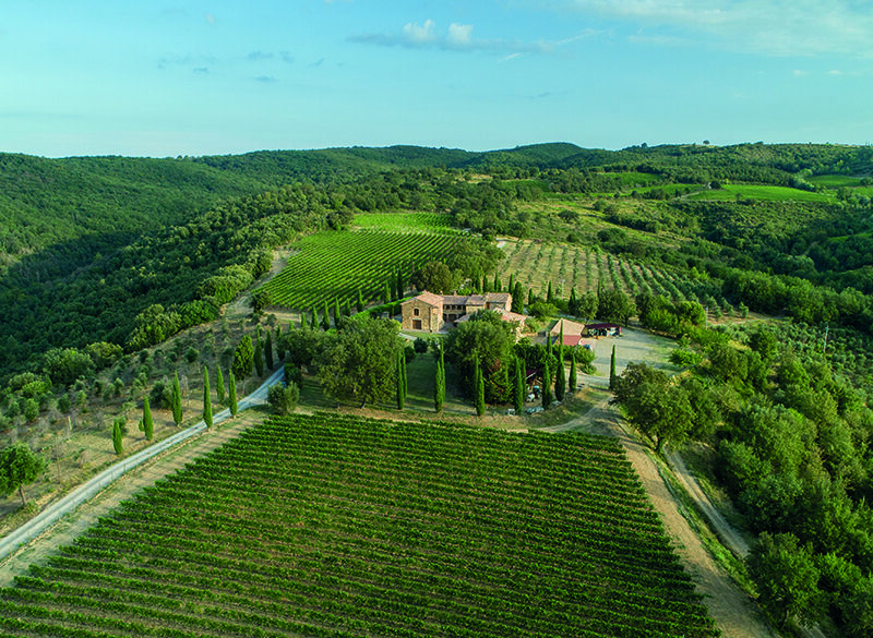 Casisano, Montalcino secondo Tommasi