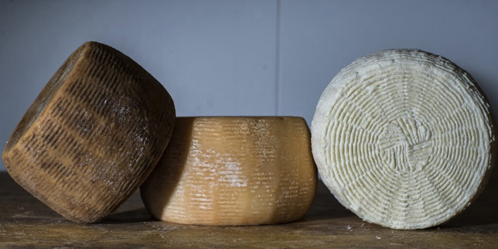 Formaggi d’Italia: dalla provincia di Vibo Valentia l’eccellenza del Pecorino del Monte Poro