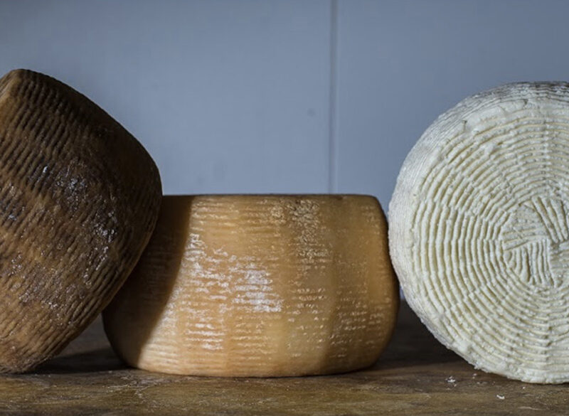 Formaggi d’Italia: dalla provincia di Vibo Valentia l’eccellenza del Pecorino del Monte Poro