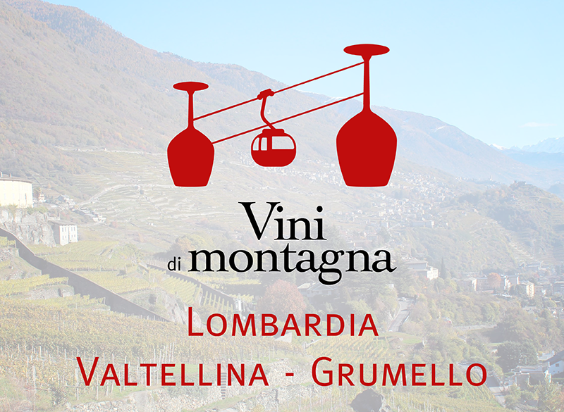 Vini di Montagna (6): la Valtellina – sottozona Grumello