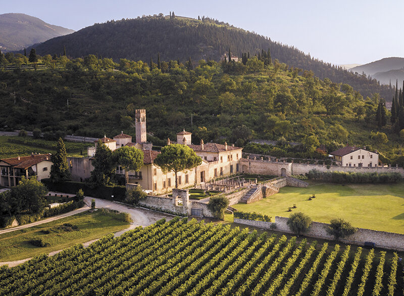 Il nuovo capitolo di Allegrini