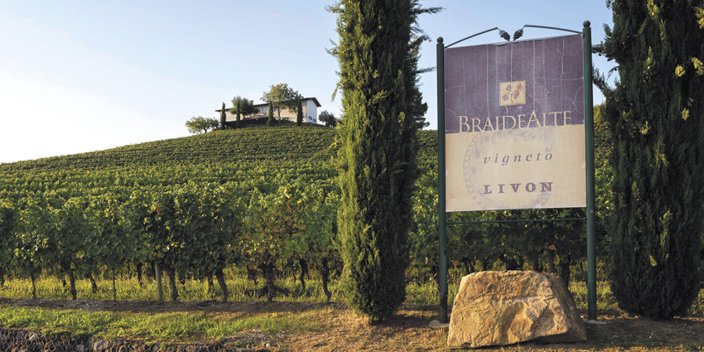 50 anni di storia del vino: Livon e l’alba dell’identità del Collio