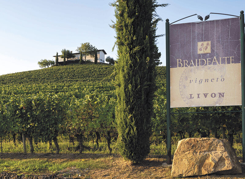 50 anni di storia del vino: Livon e l’alba dell’identità del Collio