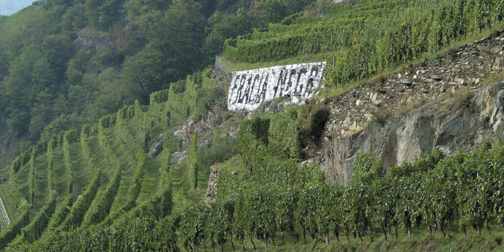 50 anni di storia del vino: Nino Negri, la Valtellina in tutte le sue sfaccettature