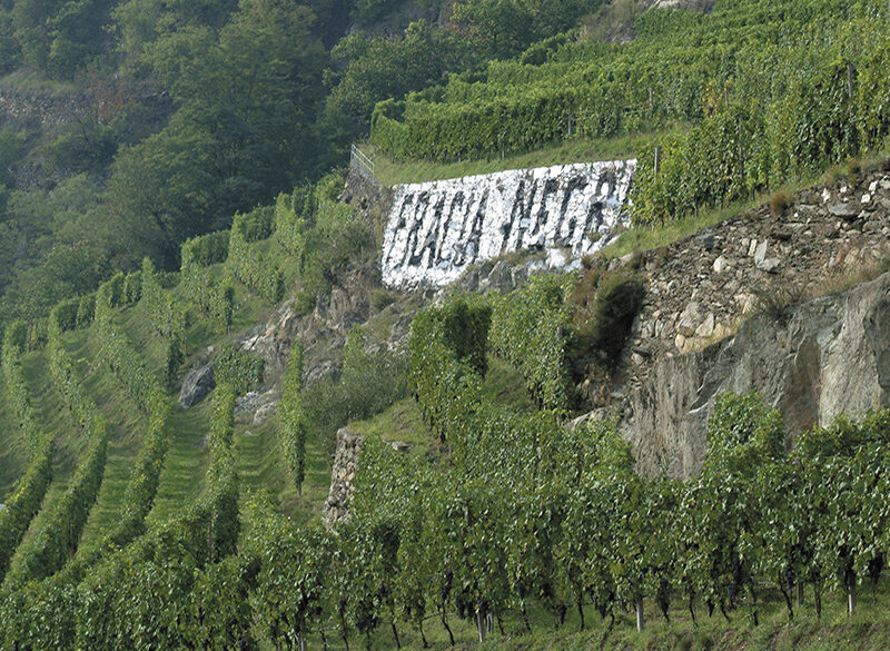 50 anni di storia del vino: Nino Negri, la Valtellina in tutte le sue sfaccettature