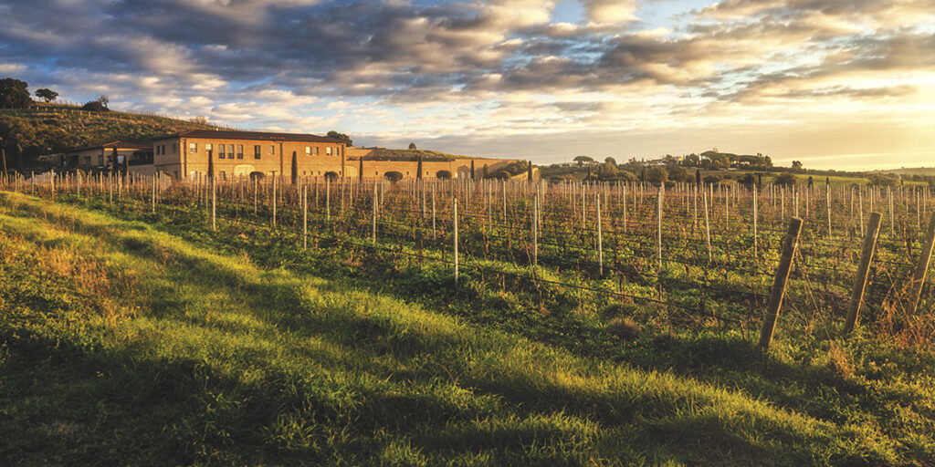50 anni di storia del vino: Monteverro, una perla enologica a Capalbio