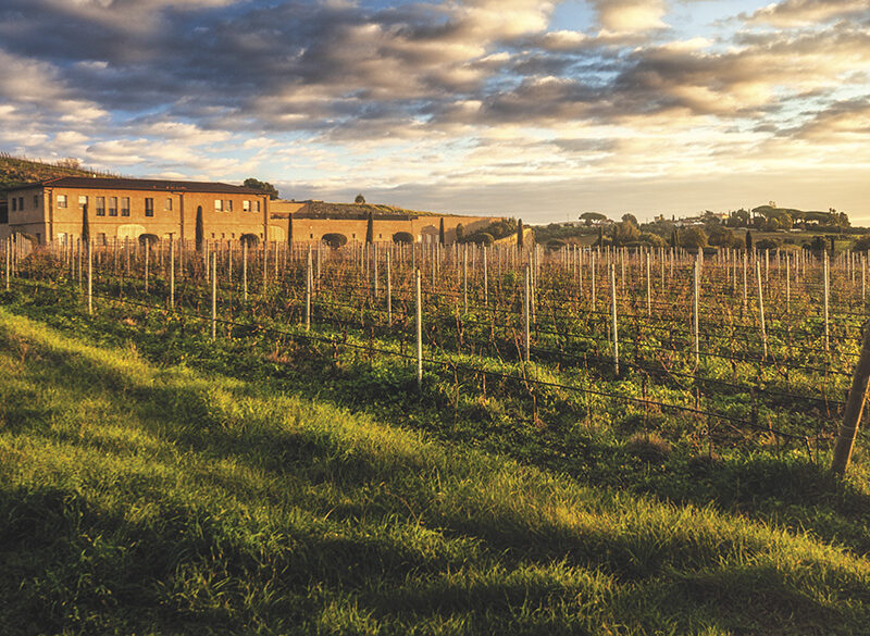 50 anni di storia del vino: Monteverro, una perla enologica a Capalbio