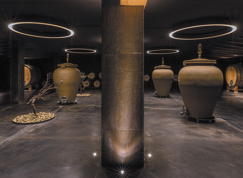 50 anni di storia del vino: Cantine Lvnae, un parco vitato nei Colli di Luni