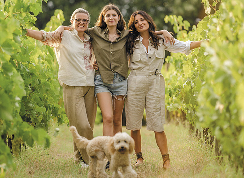 50 anni di storia del vino: Masciarelli, artigiani del futuro dalle solide radici