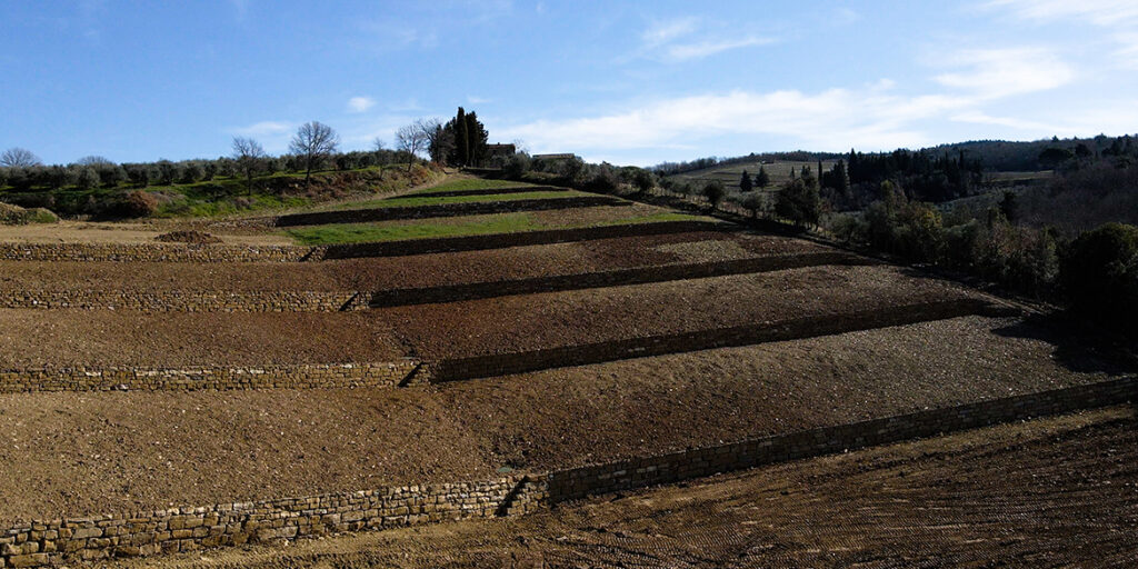 Il Chianti Classico di Isole e Olena: un’azienda storica che guarda avanti (e pianta nuovi vigneti)