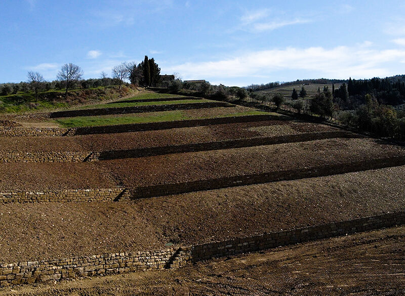 Il Chianti Classico di Isole e Olena: un’azienda storica che guarda avanti (e pianta nuovi vigneti)