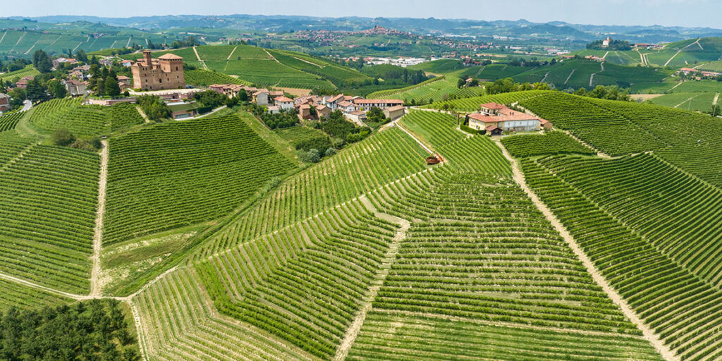 Le tante (e generose) anime della Vigna Gustava di Grinzane Cavour