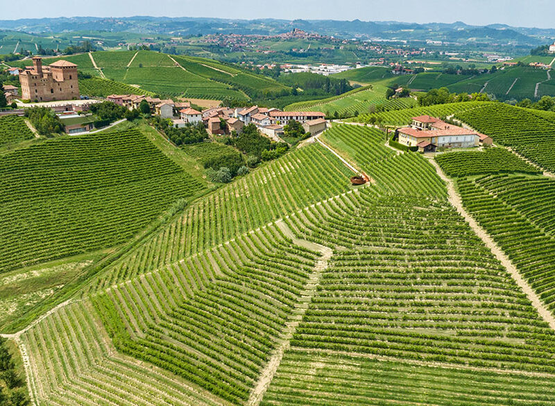 Le tante (e generose) anime della Vigna Gustava di Grinzane Cavour
