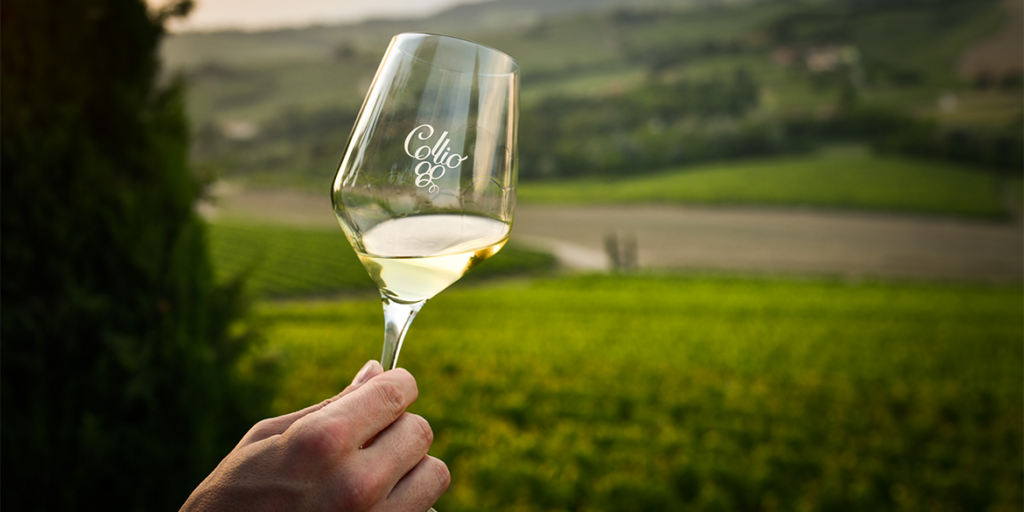 Consorzio del Collio, 60 anni da faro in una terra di sincretismi