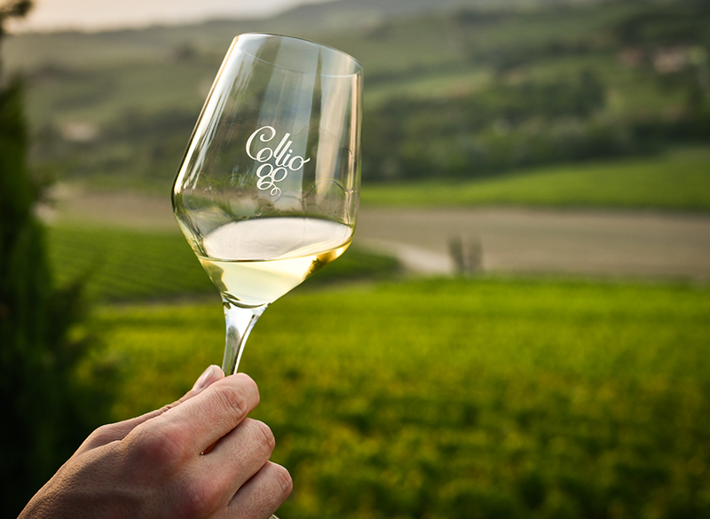 Consorzio del Collio, 60 anni da faro in una terra di sincretismi