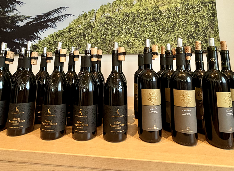 L’evoluzione del Lagrein Select di Rottensteiner