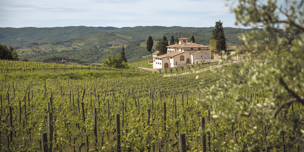 Tenuta Casenuove: una rinascita nel Chianti Classico