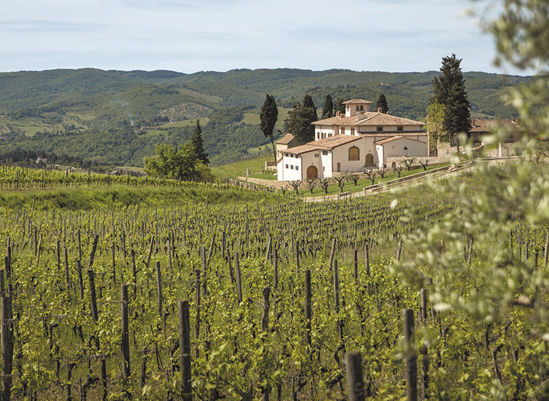 Tenuta Casenuove: una rinascita nel Chianti Classico