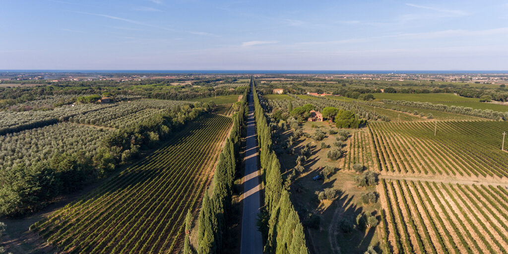 La strategia di Bolgheri per consolidare i risultati e salvaguardare il territorio