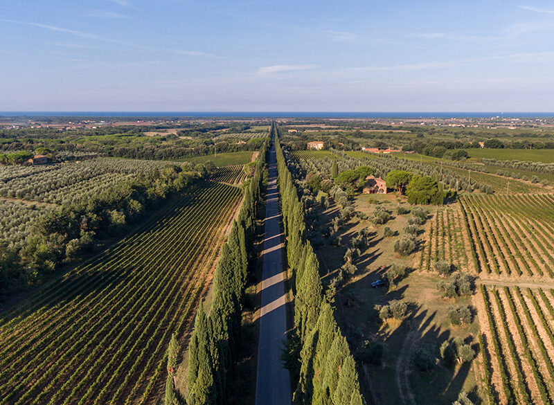 La strategia di Bolgheri per consolidare i risultati e salvaguardare il territorio