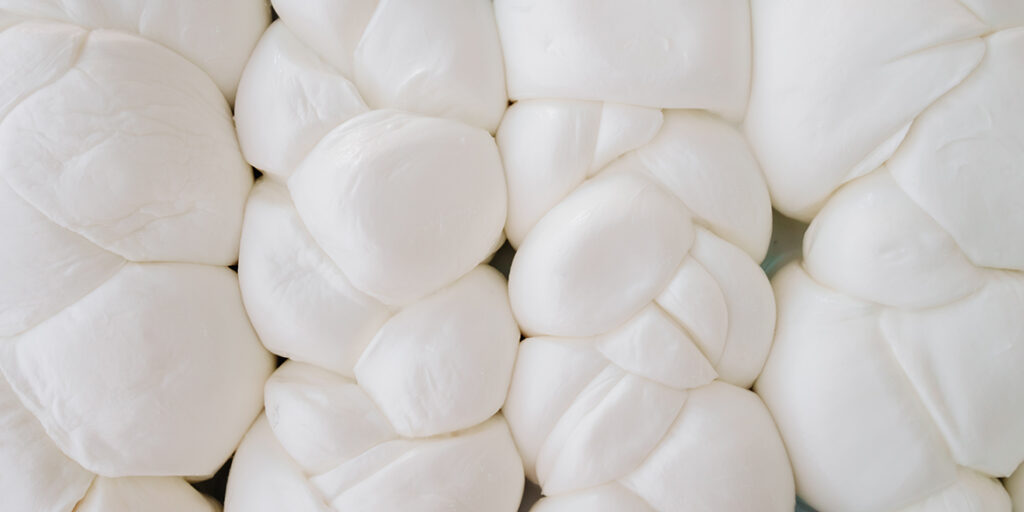 Formaggi d’Italia: sua maestà la mozzarella di bufala