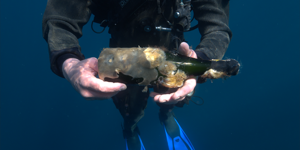 Mormora, le bollicine in fondo al mare di Paolo Leo