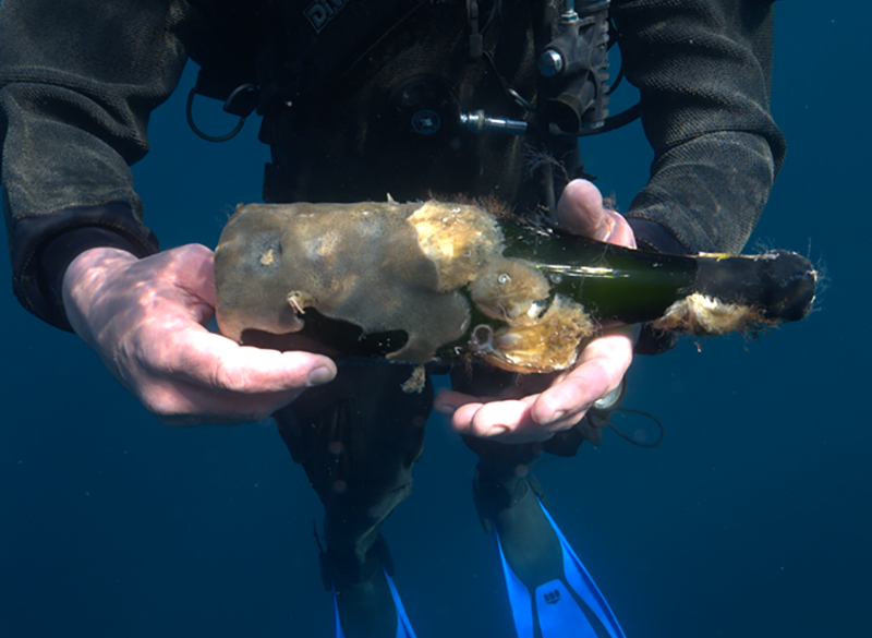 Mormora, le bollicine in fondo al mare di Paolo Leo