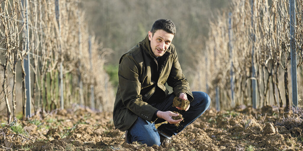 Bisogna camminare le vigne e dialogare con la terra. Una chiacchierata con Andrea Lupi
