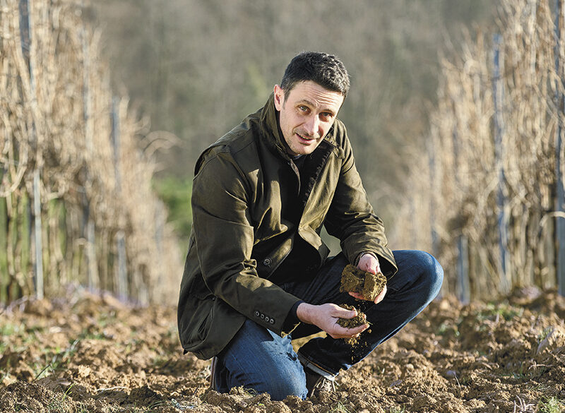 Bisogna camminare le vigne e dialogare con la terra. Una chiacchierata con Andrea Lupi