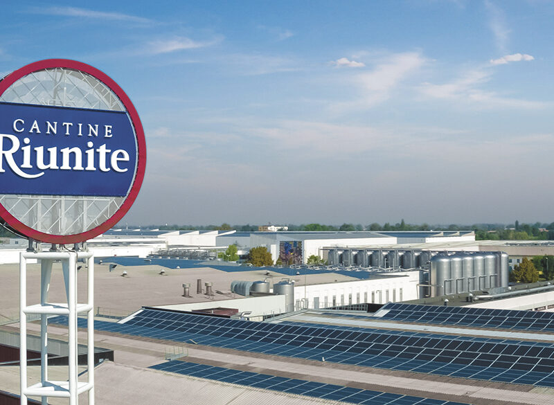 Chi sono i top 5 del vino italiano?