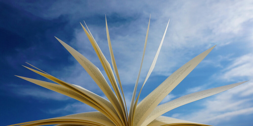 9+4 libri per l’estate