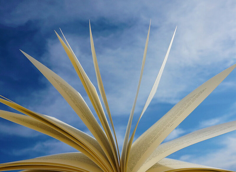 9+4 libri per l’estate