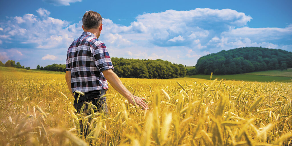 Iga, la birra che si fa (anche) con l’uva