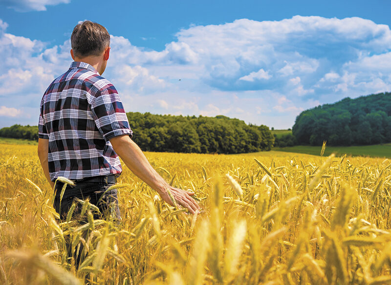 Iga, la birra che si fa (anche) con l’uva