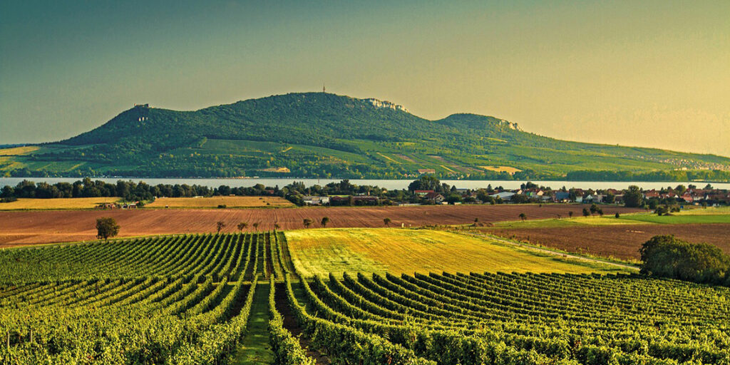 Enoturismo: spopolano le “wine experience”, meglio se fuori dal comune