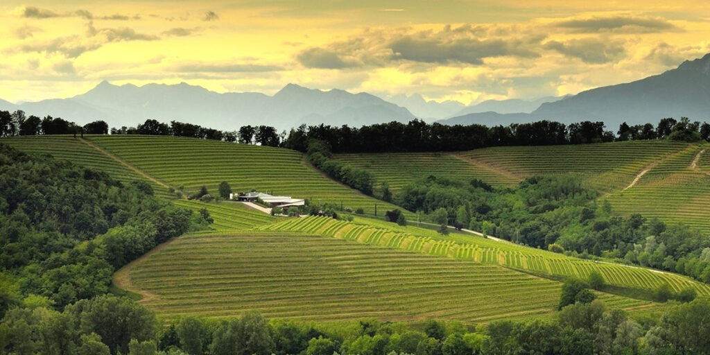 La Viarte, il nuovo corso di questo simbolo dei Colli Orientali del Friuli