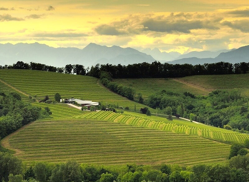 La Viarte, il nuovo corso di questo simbolo dei Colli Orientali del Friuli