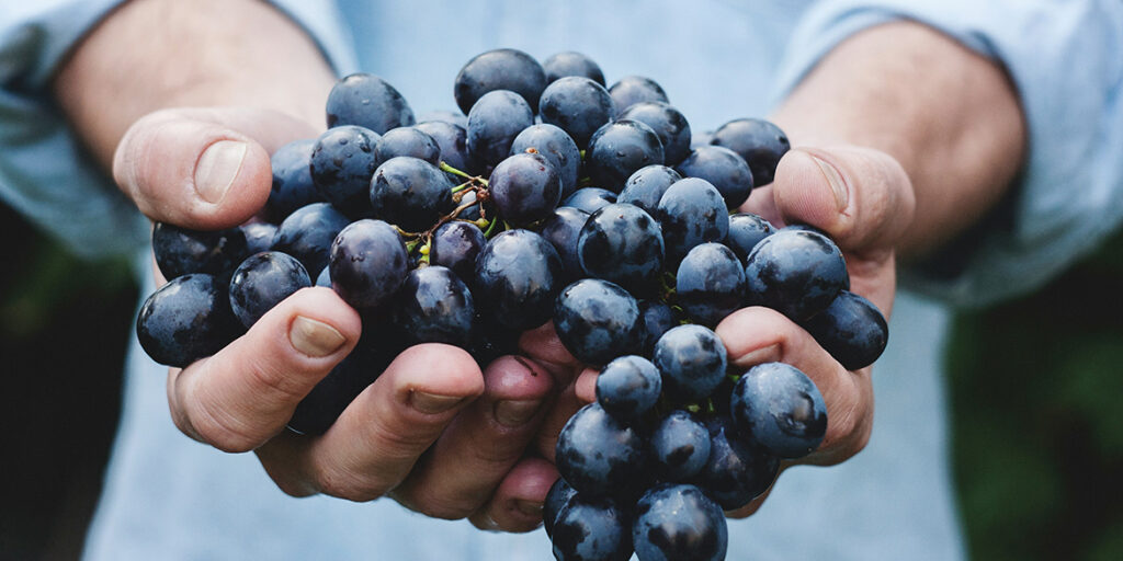 Vino naturale: in Francia (e non solo) calano le vendite