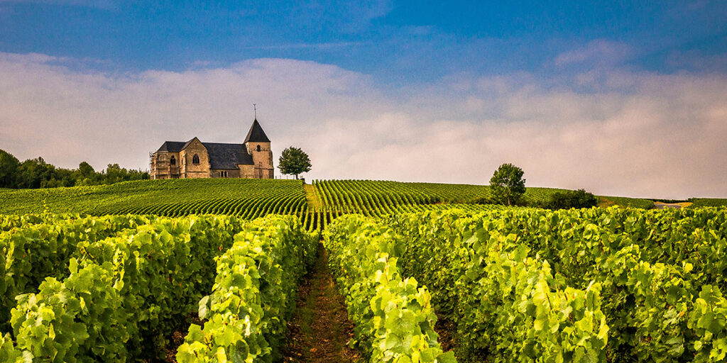 La vendemmia francese è peggiore del previsto