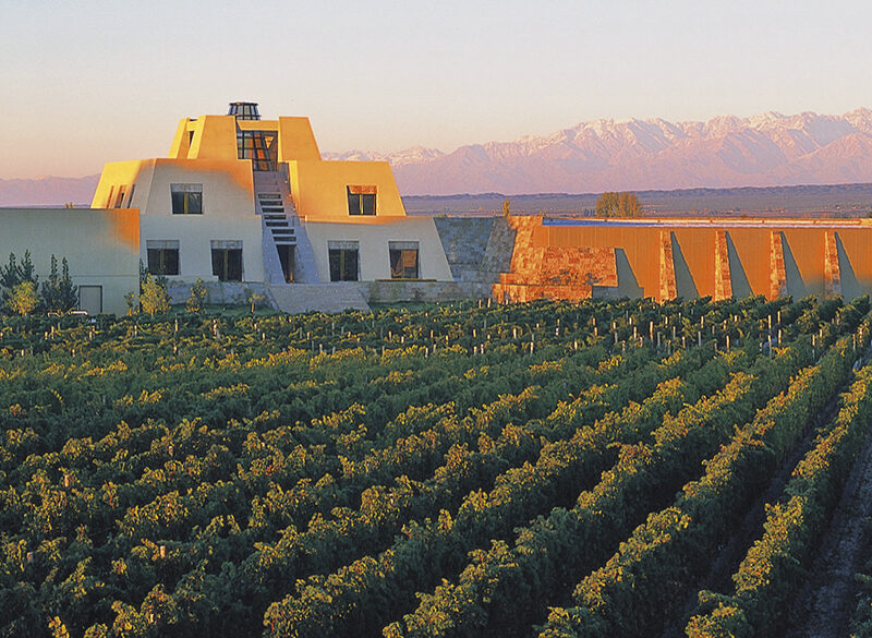 Dai robusti argentini agli eleganti californiani