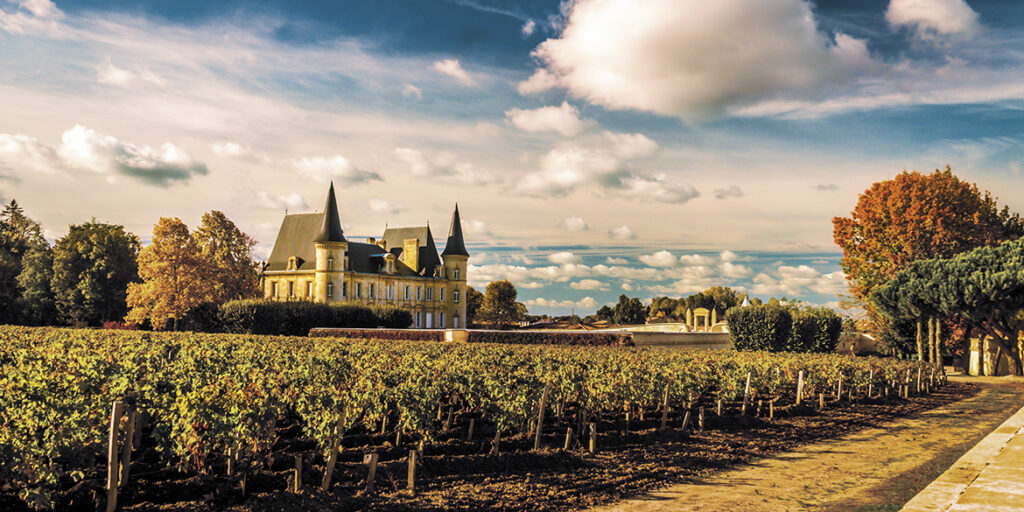 Cabernet Sauvignon, in Francia è la spina dorsale di Bordeaux