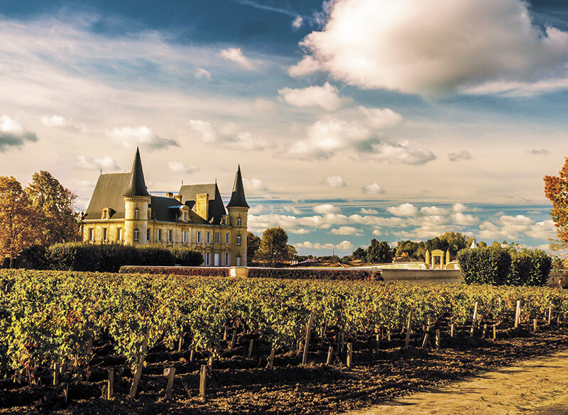 Cabernet Sauvignon, in Francia è la spina dorsale di Bordeaux