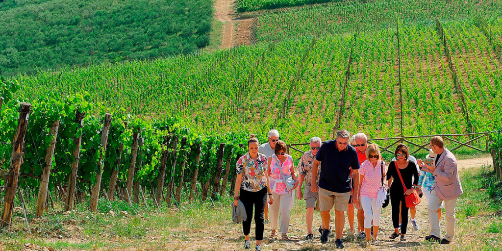 L’evoluzione del turismo del vino in Italia, dagli albori ad oggi