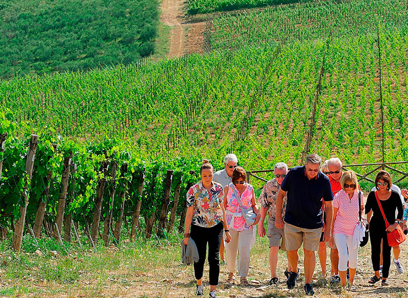 L’evoluzione del turismo del vino in Italia, dagli albori ad oggi
