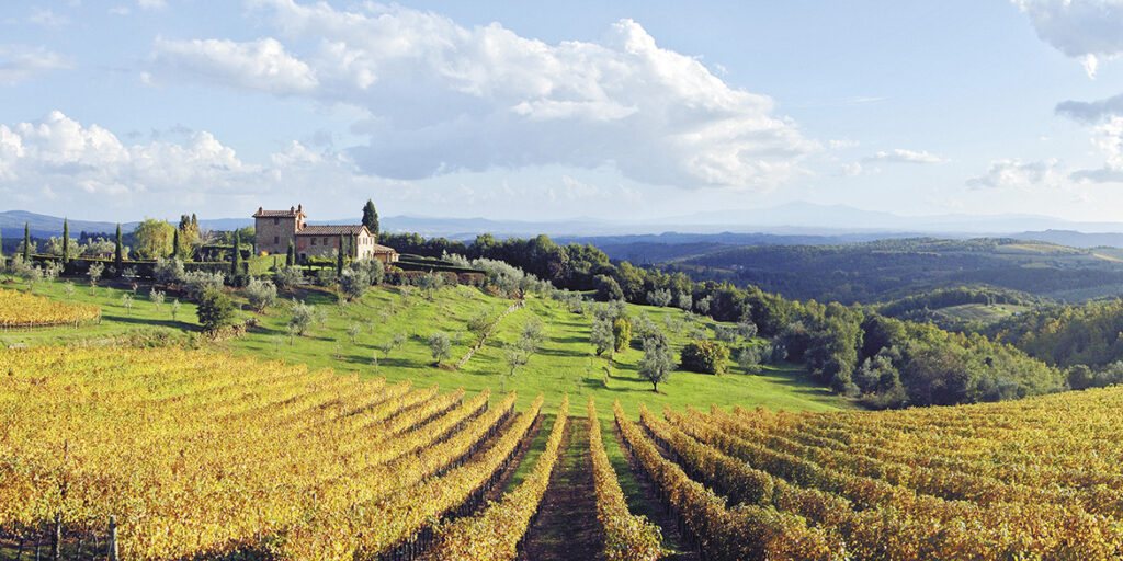 50 anni di storia del vino: Tenuta di Arceno, la filosofia del micro-cru