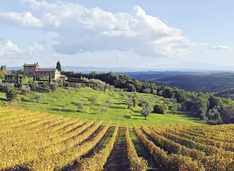 50 anni di storia del vino: Tenuta di Arceno, la filosofia del micro-cru