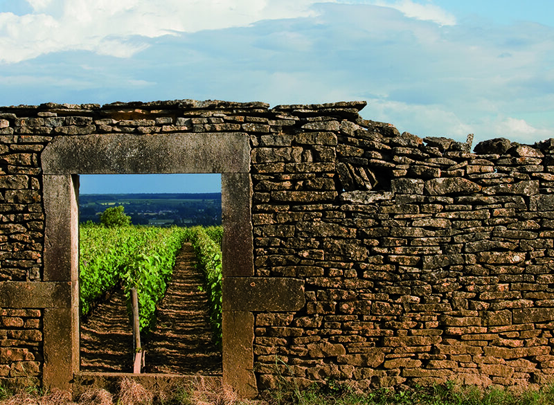 Crémant de Bourgogne, l’anima pétillante della regione. La seconda tappa