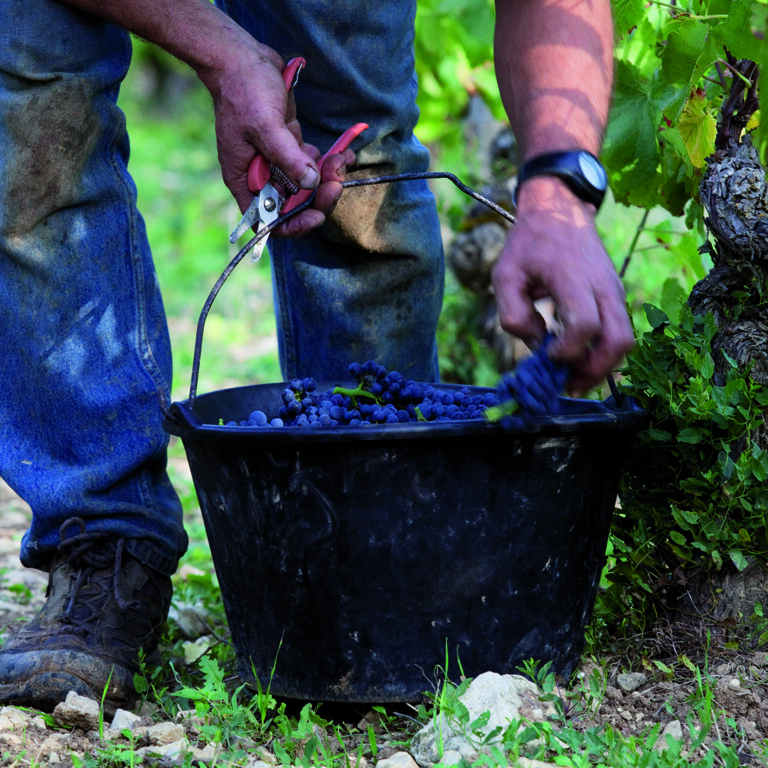 Crémant de Bourgogne