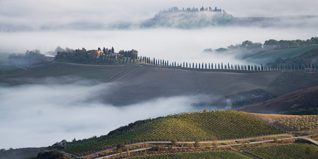 A Benvenuto Brunello tornano protagonisti i produttori in persona
